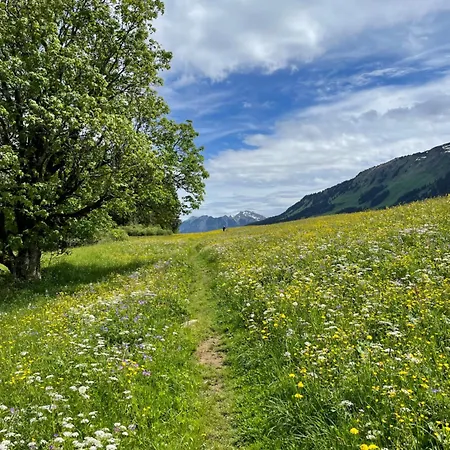 Appartamento W-40.com Riezlern