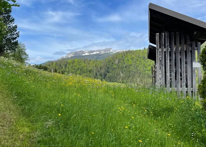 Apartment W-40.com Riezlern