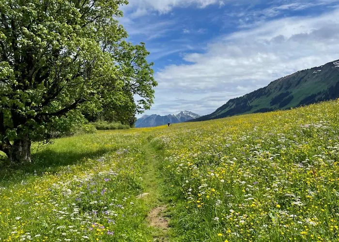 Apartment W-40.com Riezlern